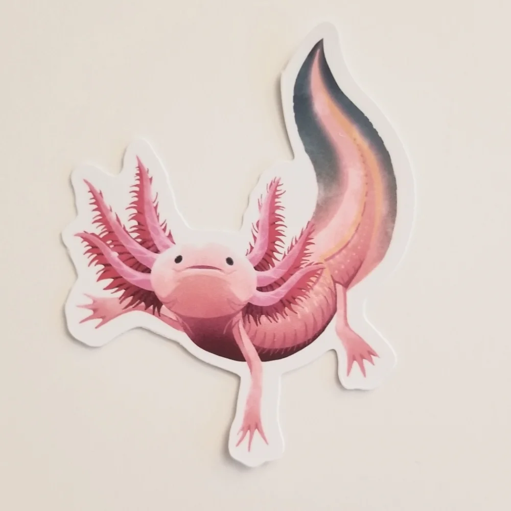 10/$10 Axolotl Sticker - Picture 1 of 1